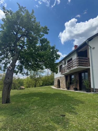 a house with a tree in front of it at Imanje Kovačević in Gornji Milanovac