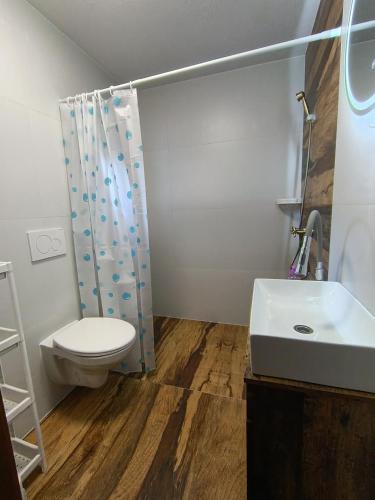 a bathroom with a toilet and a sink at Domček u Alberta in Vrbov