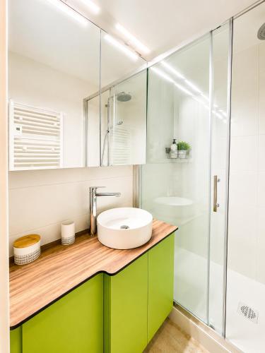 a bathroom with a sink and a shower at Le Balcon de Corrençon - Les Moucherolles in Corrençon-en-Vercors