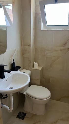 a bathroom with a white toilet and a sink at Apartmani Tajra in Donji Štoj