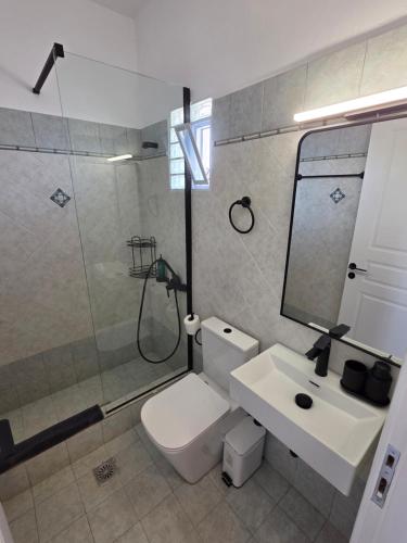 a bathroom with a toilet and a sink and a shower at Magenta Beach in Porto Heli