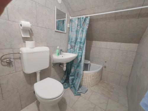 a bathroom with a toilet and a sink at Apartmani Mila in Brlog