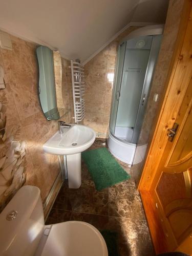 a bathroom with a sink and a toilet and a shower at TaVa House 2 in Yaremche