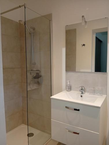 a bathroom with a shower and a sink and a mirror at Appartement Cévenol in Le Vigan