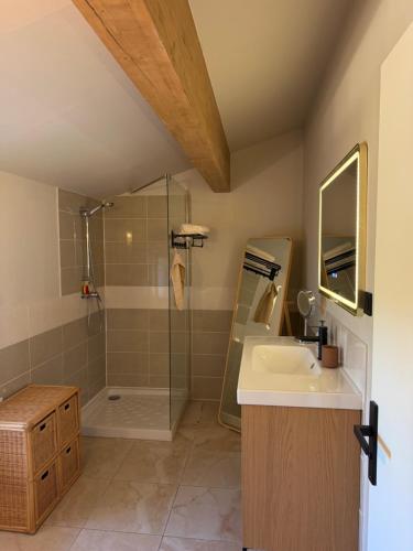 a bathroom with a sink and a shower at Maison S&L in Le Pontet