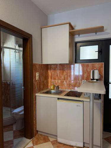a small kitchen with a sink and a toilet at Apartments Srzentic in Petrovac na Moru