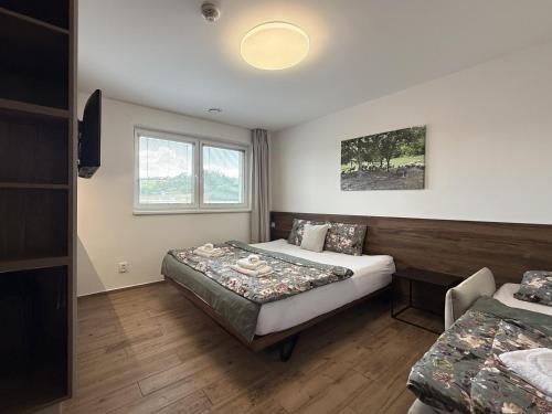 a bedroom with two beds and a window at Na Zeleném statku in Rašovice