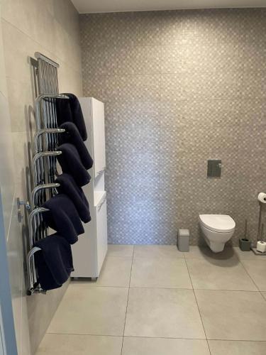 a bathroom with a toilet and a towel rack at WidziMisie Summer Apartament in Dominice