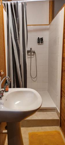 a bathroom with a sink and a shower at Ecrin de Verdure in Anneyron