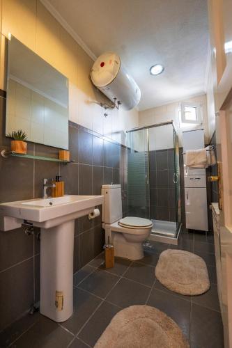 a bathroom with a sink and a toilet and a shower at Maison Des Oliviers in Herceg-Novi