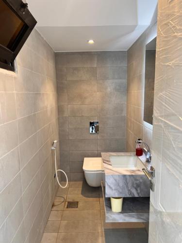 a bathroom with a sink and a toilet at ڤيلا الكرم in Jerash