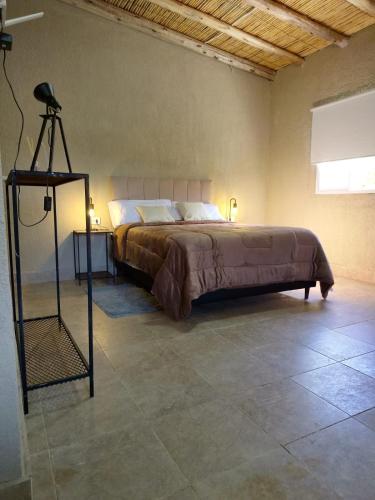 a bedroom with a large bed in a room at Dormis Talampaya in Villa Unión