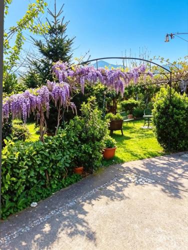 a garden with purple flowers hanging from a pergola at I Santicelli in Morano Calabro