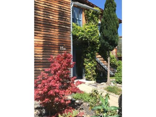 Gallery image of Apartment with small garden in Uhldingen-Mühlhofen