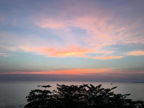 un tramonto sull'oceano con un albero in primo piano di The Pat Hotel a Jomtien Beach