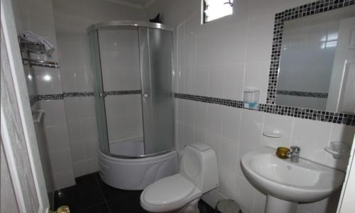 a bathroom with a shower and a toilet and a sink at NEW Hotel Casa del Profesor in Iquique