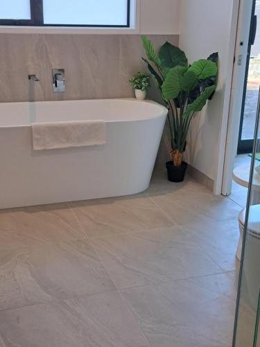 a bathroom with a bath tub and a plant at Kupe Retreat free wifi free parking two rooms ensuite bathroom for both in Whitianga