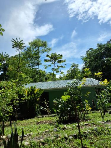 a green house in the middle of a garden at Lugar Mágico in Puerto Viejo