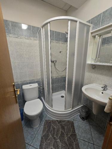 a bathroom with a shower and a toilet and a sink at Hotel Corso T-X in Rokycany