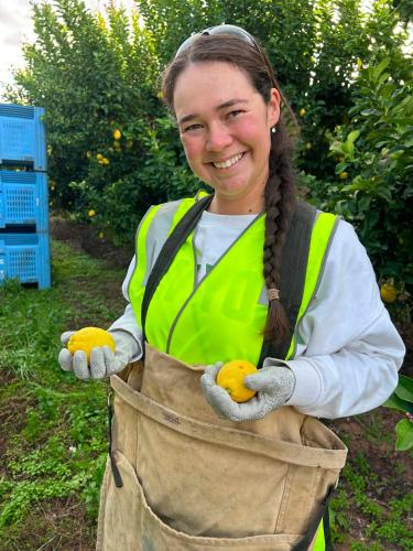 a woman in an orchard holding oranges in a bag at Sunraysia Stays in Mildura