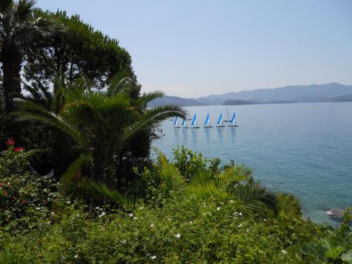 a group of boats on the water with trees at Villa Electra in Chorto