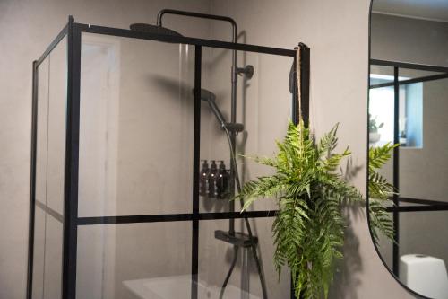 a shower stall with a plant in a bathroom at Mukka Mountain in Ruskola