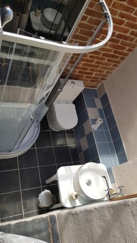 a bathroom with a white toilet in a room at Old Mill Glamp in Kozov
