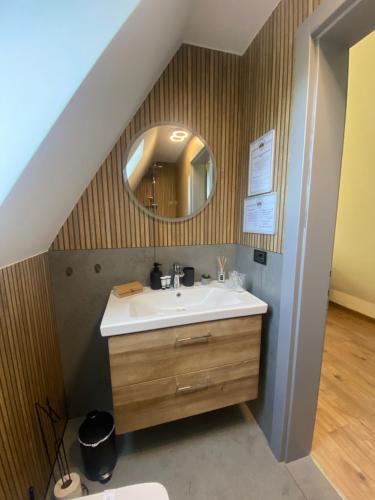 a bathroom with a sink and a mirror at Cabana Casa Luca in Rănuşa