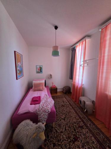 Your Penthouse - Baselcard - Lift - 15min to Airport - Garden