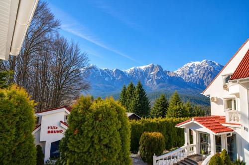 Blick aus dem Garten eines Hauses mit Bergen im Hintergrund in der Unterkunft FOREST RETREAT Luxury Villas in Buşteni