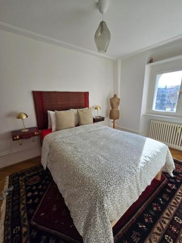 Your Penthouse - Baselcard - Lift - 15min to Airport - Garden
