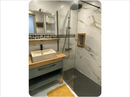 a bathroom with a sink and a shower at Appartement chaleureux cité vauban à Briançon in Briançon