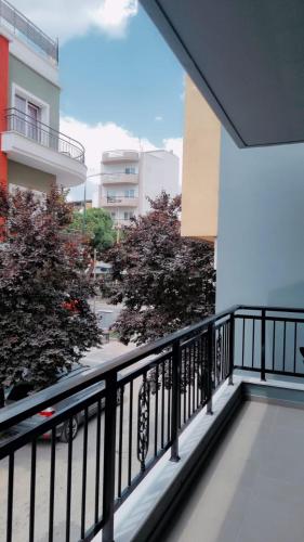 chous apartment