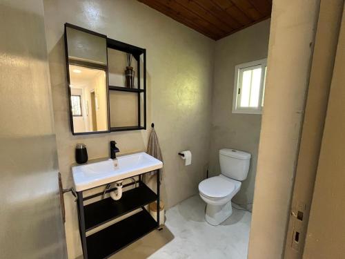 a bathroom with a toilet and a sink and a mirror at Villa Leda - The Guest Wing in Paphos