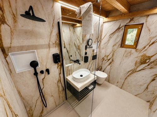 a bathroom with a toilet and a sink and a shower at Hotel Pizzeria Selva in Zernez