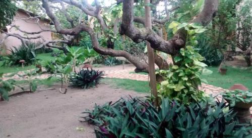 Taman di luar Pousada Chica Pitanga