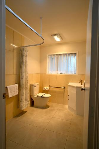 a bathroom with a toilet and a shower and a sink at Dukes Midway Lodge in Auckland
