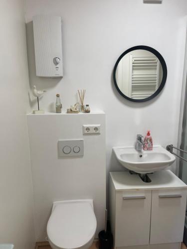a bathroom with a toilet and a sink and a mirror at Garten Oase Weisweil in Weisweil