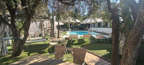 a backyard with a swimming pool and chairs and trees at Hotel Palladium in Monastir