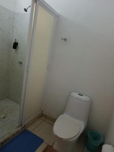 a bathroom with a white toilet and a shower at Chinelos Ixtapa in Ixtapa