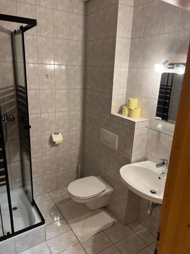 a bathroom with a toilet and a sink at Mentebauer Traudi's Ferienhof in Rothenthurn
