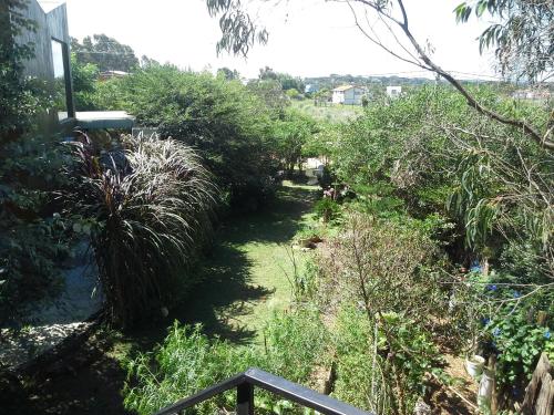 a garden with grass and plants on the side of a house at Posada IRSIS in La Pedrera