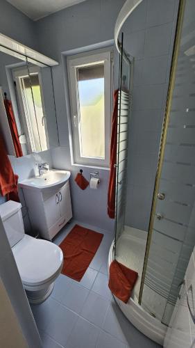 a bathroom with a toilet and a shower and a sink at Ferienhaus Grüne Oase in Bar