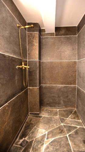 a bathroom with a shower with brown tiles at Casa Piazzo in Brusio