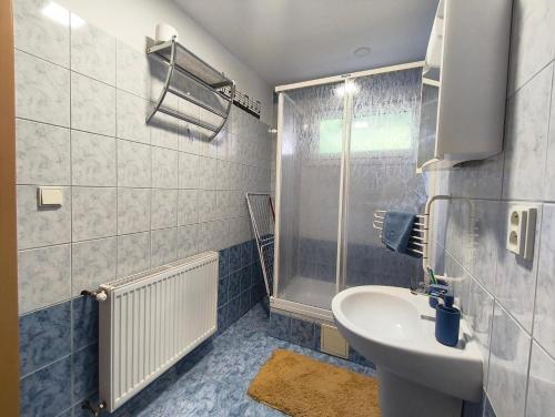 a bathroom with a sink and a shower at Penzion Pomněnka in Lipova Lazne