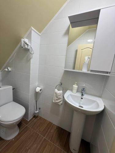 a bathroom with a sink and a toilet and a mirror at Guest house Kiev forest in Kyiv
