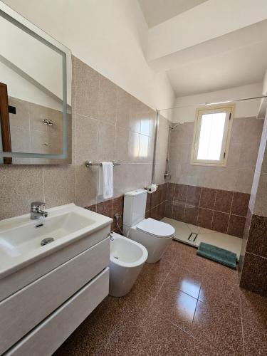 a bathroom with a sink and a toilet and a mirror at Rrapi Apartments in Tragjas