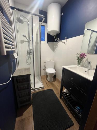 a bathroom with a shower and a toilet and a sink at Rzeczny azyl in Pomiechówek