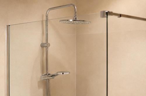 a shower with a glass door and a shower head at Terraza esquina en el centro in Elche