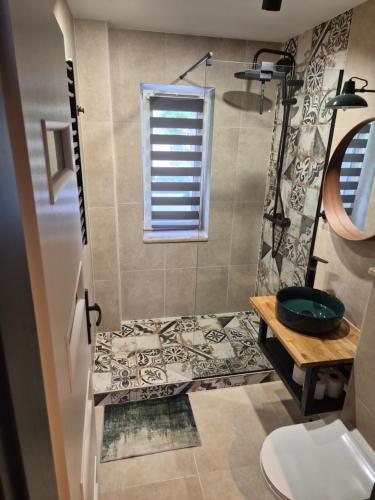 a bathroom with a shower with a sink and a toilet at Apartament Stara cegła 1 i 2 in Głuszyca